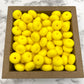 14mm Abacus Silicone Beads - Yellow