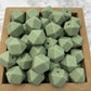 Hex 14mm Silicone Beads - Matcha Green