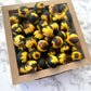 15mm Round Silicone Beads - Black Sunflower Print