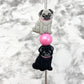 Pug Dog Silicone Focal Bead